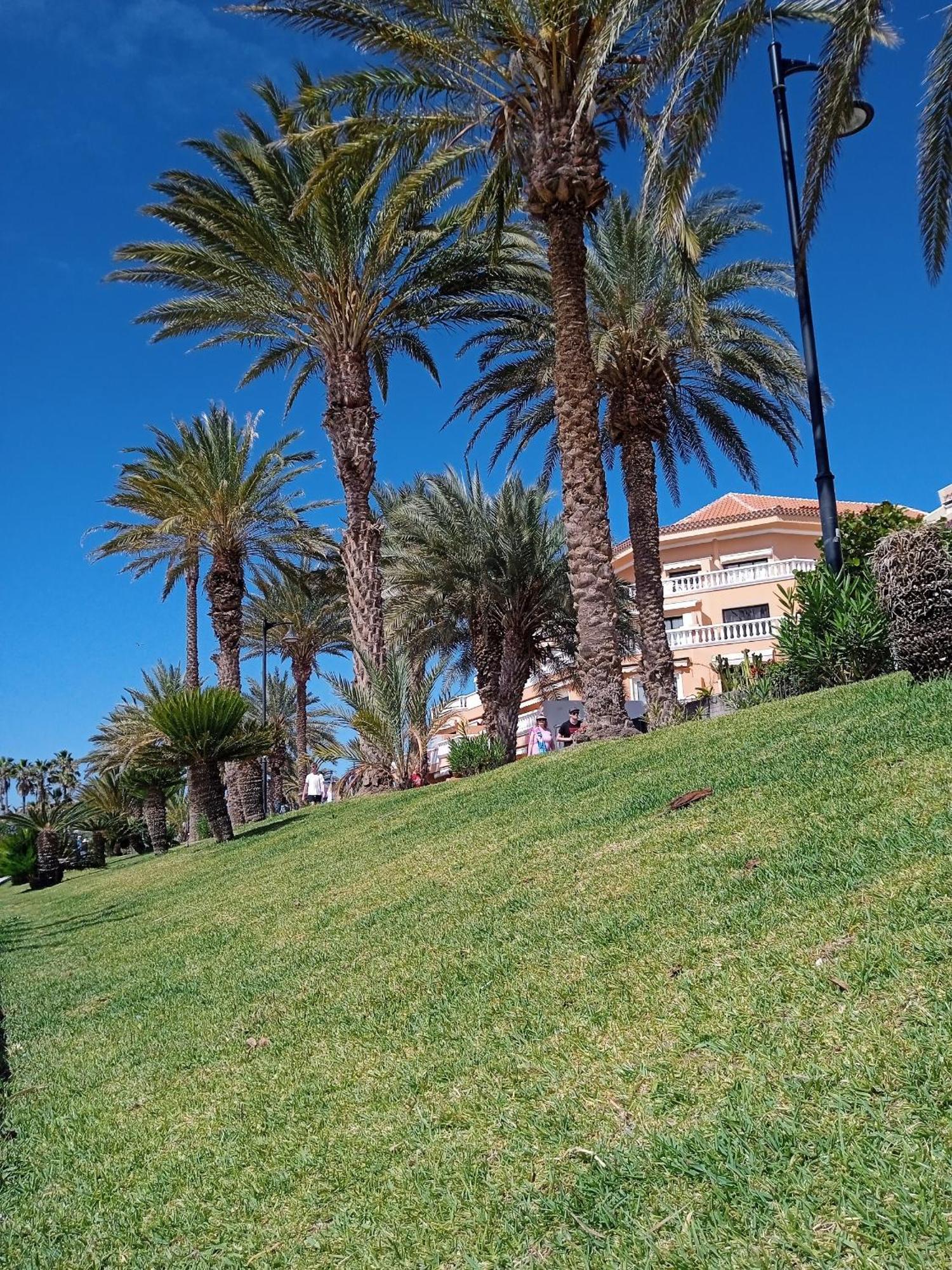 Apartamento Familiar Con Piscina Con Wi Fi En Los Cristianos Los Cristianos  Exterior foto